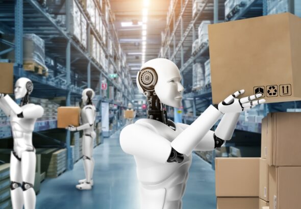 What Makes China a Leader in the Humanoid Robot Industry